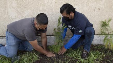 Asm. Villapudua and brother planting tree